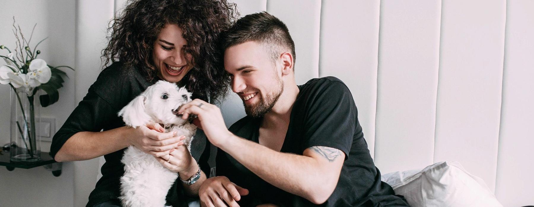a man and woman sitting on a bed playing with a dog